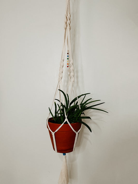 Chakra Crystal Plant Holder