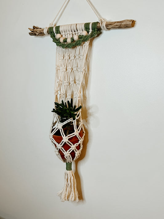 Driftwood Pocket Macrame Planter